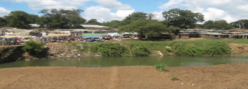 Enviromental Impact Assesment Studies