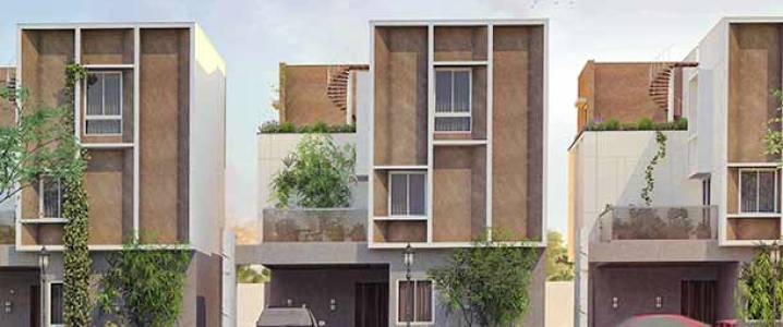 Sark Prime North Meadows