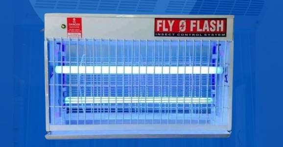 CMF O2 Model – Fly Catchers