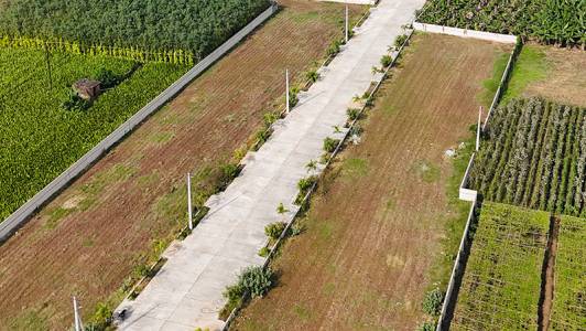 Sree City Rich Mound County