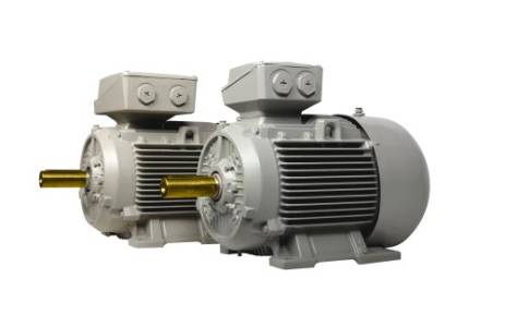 CAST IRON SERIES 1LE7