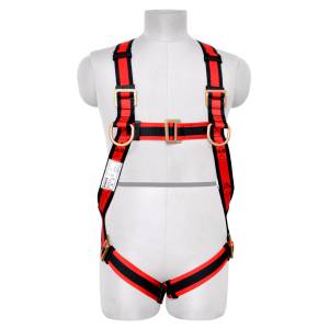Safety Harness