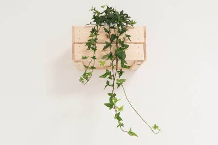 Personalized Workouts