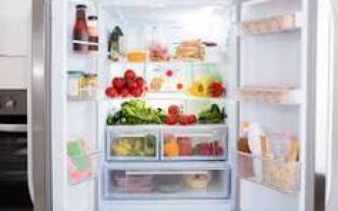 Refrigerator Services