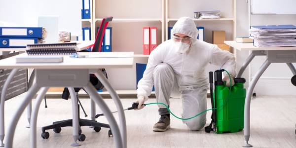 General Disinfestation