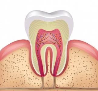 Root Canal Treatment