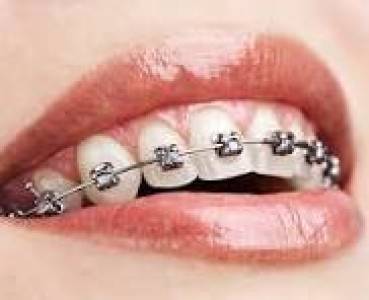 Orthodontists