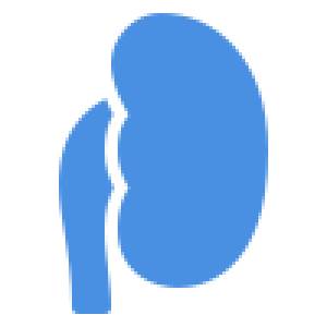 Nephrology
