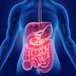 Gastroenterology
