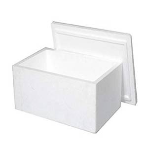 Thermocol Box