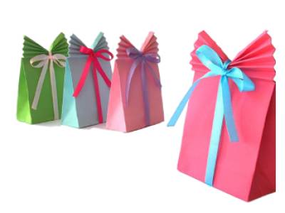 Gift Paper Pouch