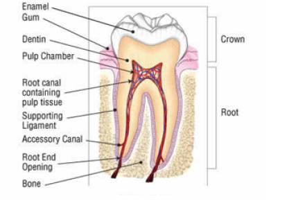 Root canal treatment