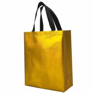 Laminated Shopping Non Woven Bag