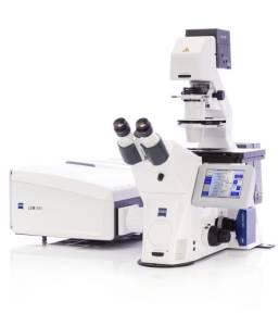 Labomed Microscope