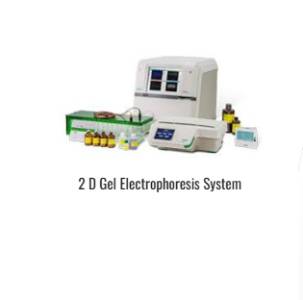 2 D Gel Electrophoresis System