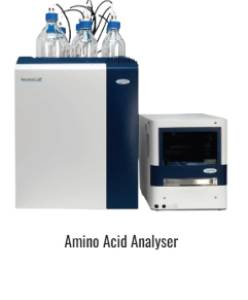 Amino Acid Analyser
