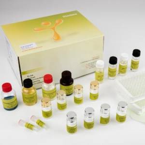 Diaclone France IL-6 Elisa Kit